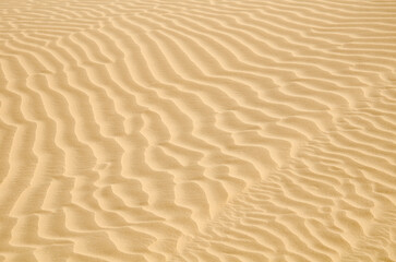 Sam Sand dunes in Thar Desert, grainy sand, Texture, Pattern, Background, Jaisalmer, Rajasthan, India, Asia.