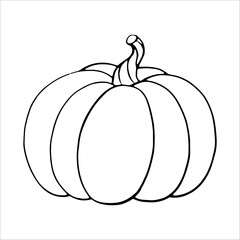 Hand Drawn pumpkin line art. Pumpkin doodle icon. Black and white Pumpkin vector illustration. Perfect For Poster, Greeting Card, Coloring page for kids and adults..