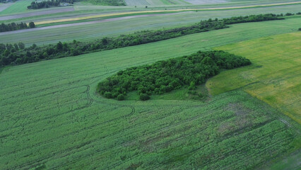 Green forest and open fields captured in aerial summer view