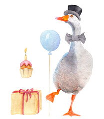 Watercolor illustration of character, cheerful festive goose with balloon and gift, card design element