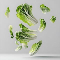 Chinese cabbage falling from above, isolated on silver background, clipping path, full depth of...