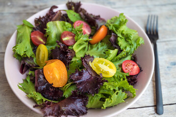 Mix of fresh green salad with red and yellow cherry tomatoes 