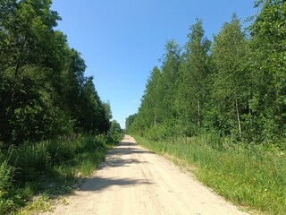 Road in forest in Siauliai county during sunny summer day. Oak and birch tree woodland. Sunny day with white clouds in blue sky. Bushes are growing in woods. Sandy road. Nature. Summer season. Miskas.