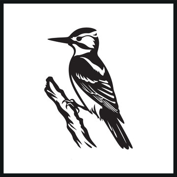 recommend clip art: Woodpecker vector silhouette illustration black. bird silhouette