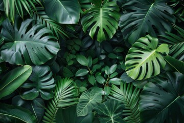 Dschungel Hintergrund mit gr&uuml;nen Tropischen Pflanzen 