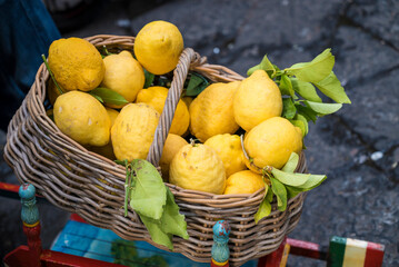 Fresh Lemons in a basket  on a farmers market 