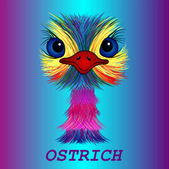 Vector head of ostrich, emu for tattoo or design of t-shirt or outerwear. Print for notebooks, notepads, textile, picture, tableware. Multicolored, rainbow, bright ostrich head. Cute style for white c