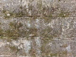 Green moss and rain stains on abandoned cement wall