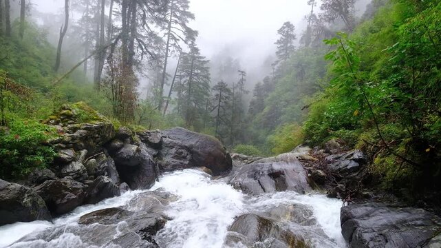 Powerful mountain creek running through the big boulders down the foggy rain forest jungles in Makalu Barun National Park near Chatra Khola settlement. Mera peak climbing route, Himalayas, Nepal.