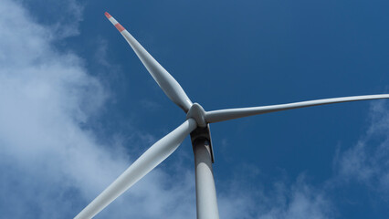 wind turbine