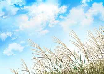 ススキ　秋の風景　水彩画　素材　穂　草原　野原　高原　田舎　行楽　ハイキング　お彼岸　晴れ　爽やか　シンプル　ポストカード　ポスター