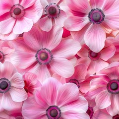 A vibrant display of pink anemone flowers, showcasing delicate petals and striking dark centers.