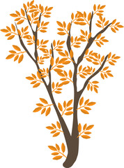 Fototapeta premium Autumn Leaf Branch