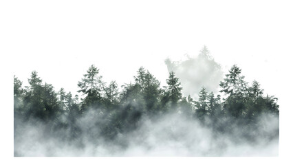 Forest with trees in mist isolated on a transparent background, PNG