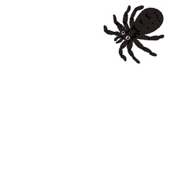 spider 
