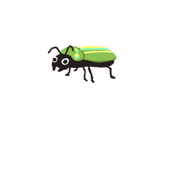 green beetle