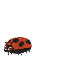 Cute ladybug 