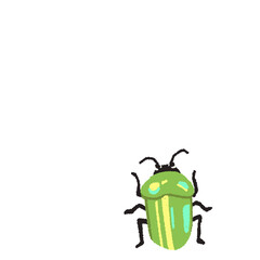 green beetle