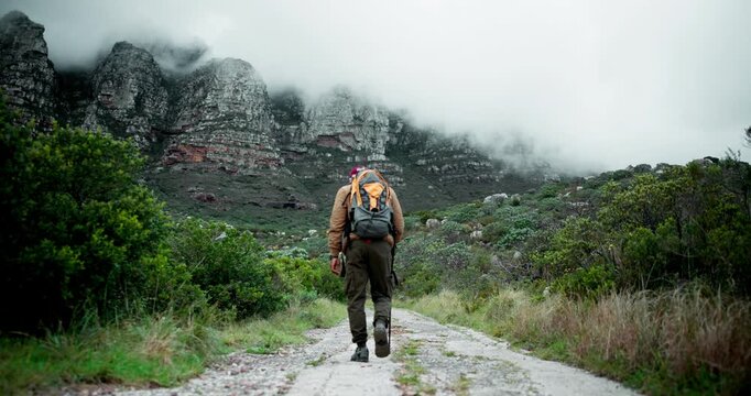 Mature man, hiker and walking with stick on mountain for fitness, adventure or outdoor journey in nature. Back view of male person trekking with backpack, bag and cloudy sky in natural environment