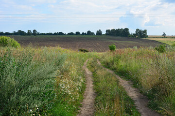 Obraz premium a dirt path leads to a plowed field with tall grass and trees 