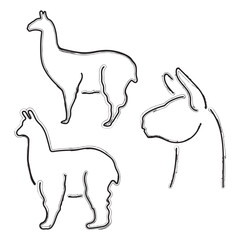 lama icon set, brush strokes on white background. Vector illustration.