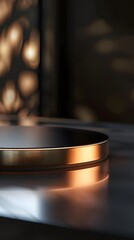 interior with light close up product display podium