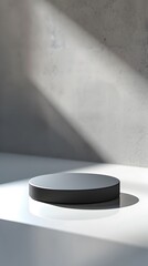 interior with light close up product display podium