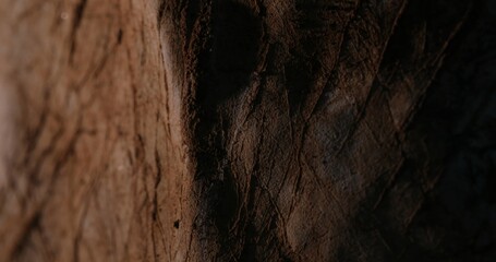 Warm Tones on Textured Stone Surface. Close-up, shallow dof.