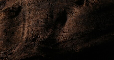 Dark Textured Wood with Natural Shadows. Close-up, shallow dof.