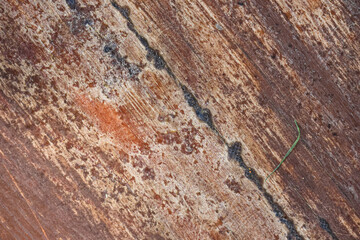 Old wood surface texture background