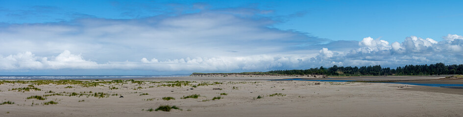 Serene Beach panorama Landscape with Dramatic Sky