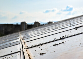 Dirty rooftop solar panels covered with bird droppings, leaves, dust, and bird footprints can...