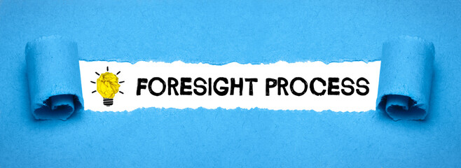 Foresight Process