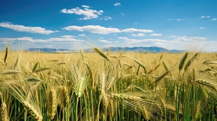 Naklejka premium crops feed agriculture