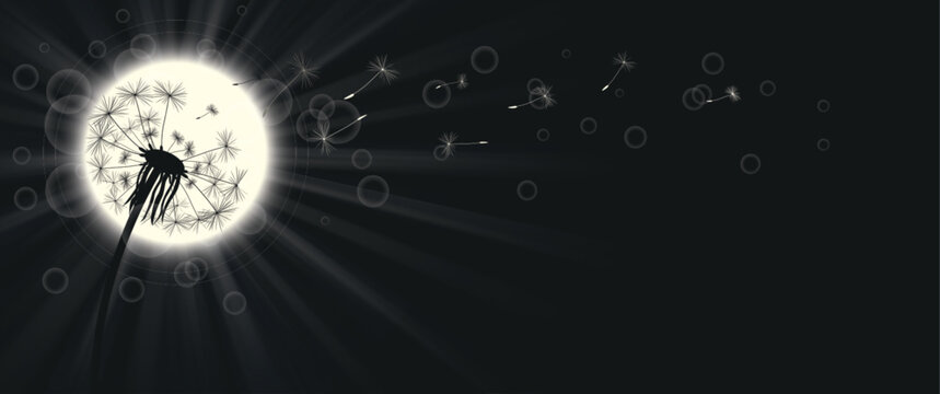 Dandelion Black Sky Sun Above Sorrow Header