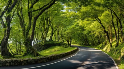 Fototapeta premium winding road panorama