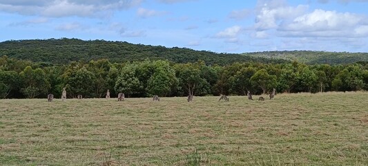 Great Ocean Road, Australia