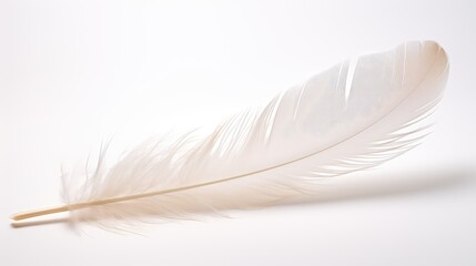 Obraz premium floating zen white background