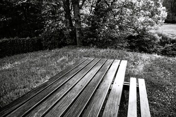 Wooden bench, Storkensohn, Haut Rhin, Grand Est, France, Europe