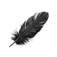 Black feather bird wing isolated on transparent background cutout PNG