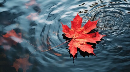 foliage fall leaves lake