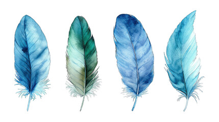 Blue green feather bird quill part of wing set collection isolated on transparent background cutout PNG