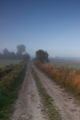 Brzask nad polną drogą
