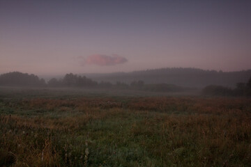 Wschód słońca na łące