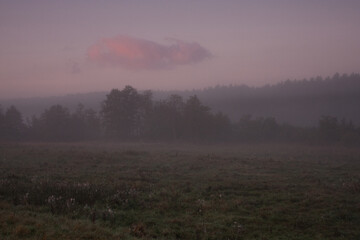 Mglisty poranek © Robert