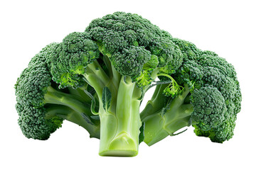 Fresh, vibrant green broccoli florets, perfect for healthy cooking, vegetarian meals, and nutritious meal prepping, set against a white background.