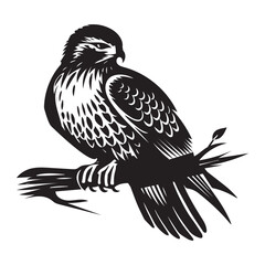 Fototapeta premium Red-tailed hawk Silhouette, Eagle Clipart, Red-tailed hawk resting vector illustration
