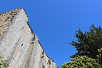 Cathédrale de Maguelone et arbres sous le ciel bleu
