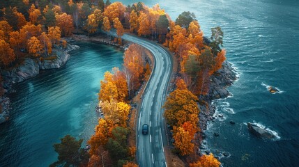 Autumn Road by the Sea