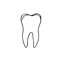 tooth molar root drawing - hand drawn doodle